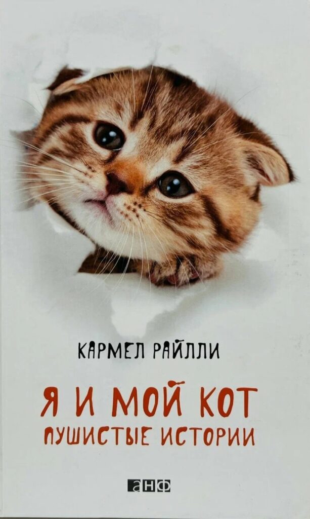 Я и мой кот: пушистые истории